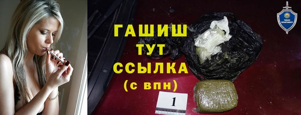 гашик Козельск