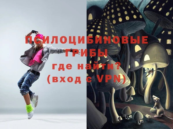 дживик Киренск