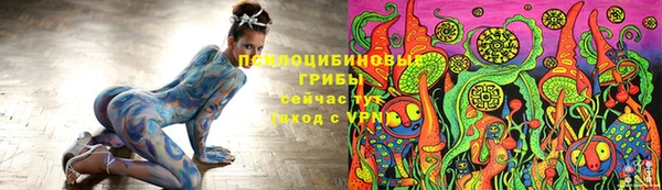 дживик Киренск
