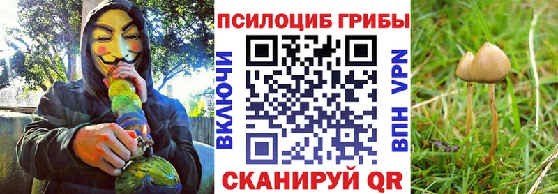 Купить  Бабушкин  Псилоцибиновые грибы прущие грибы 